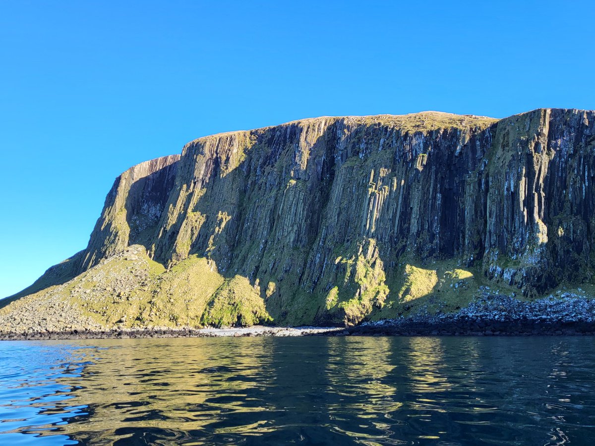 Gillian Morrison tweet media