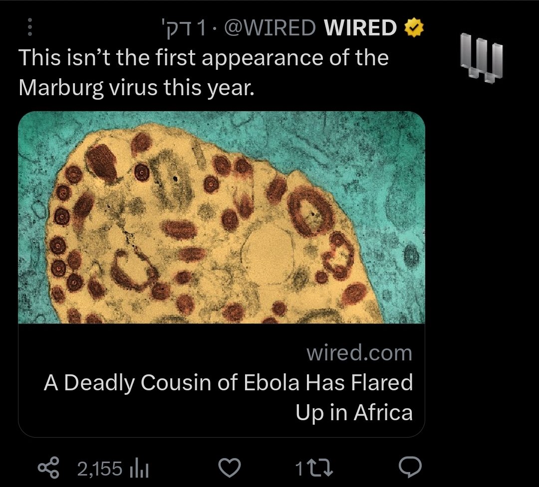 Nofar V tweet media