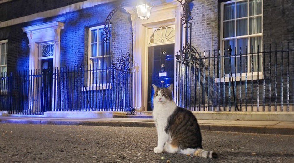 Larry the Cat tweet media