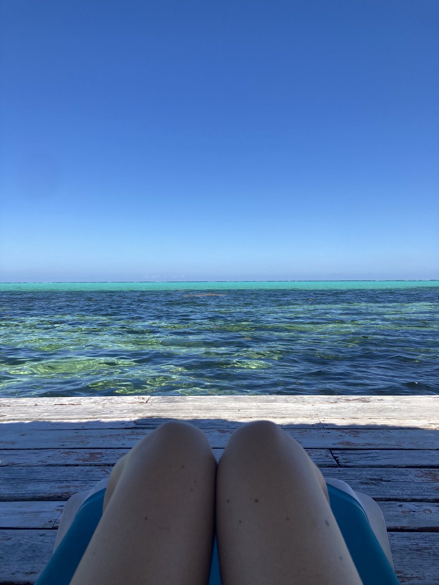 Elisa Duriavig tweet media