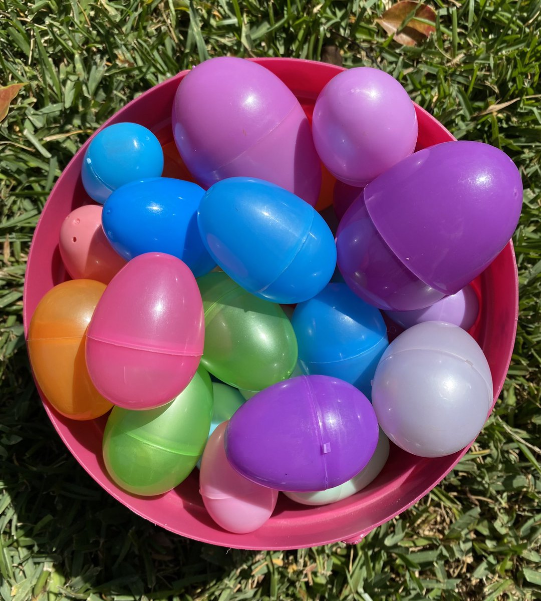 Successful simulated hunt. 

Happy Easter everyone 🐣