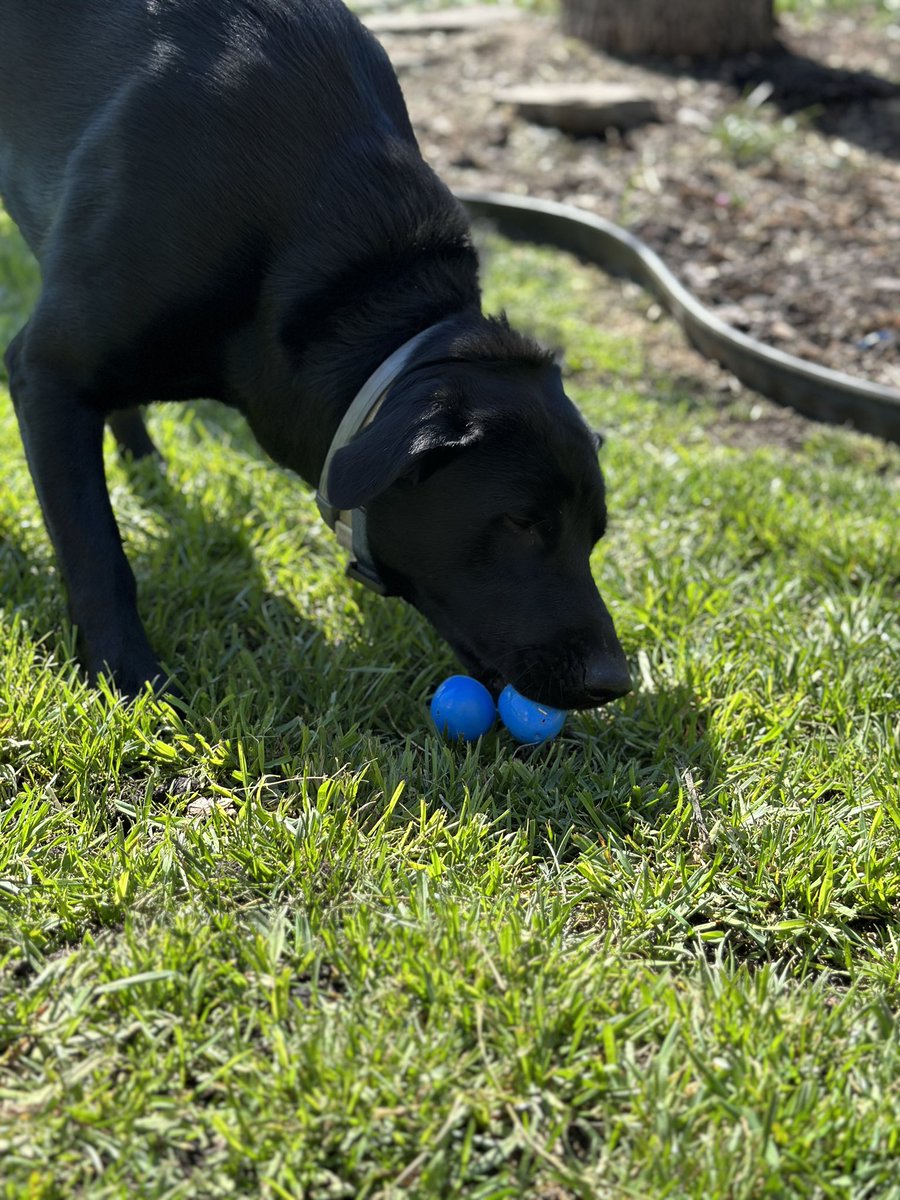 Happy Easter! I enjoyed a lovely relaxing day with my boys and it was perfection!