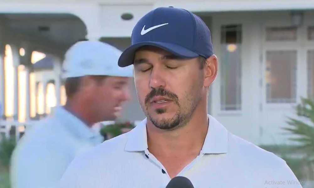 Bianca Teixeira (@thebiancat) on Twitter photo 