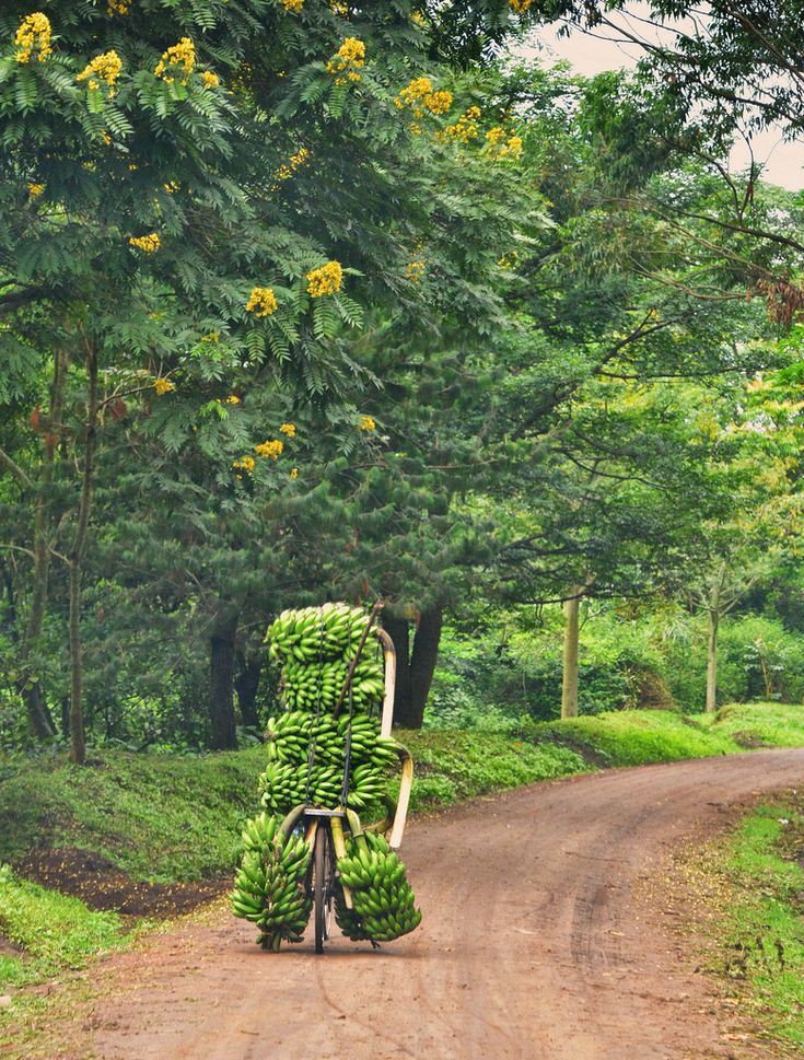That beautiful country side, ain't ancient Europe 🖖