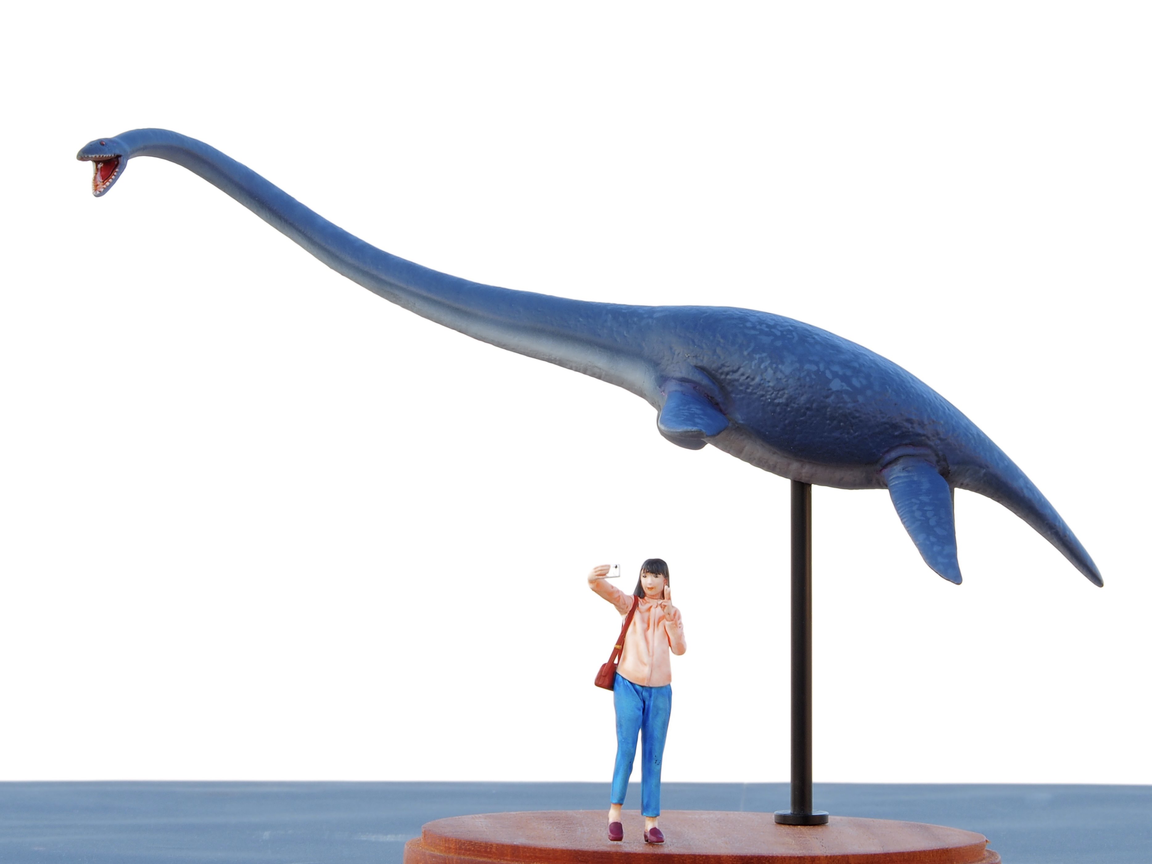 リュウグウオキナエビス特特大217ミリ 蓋付きデータ付き