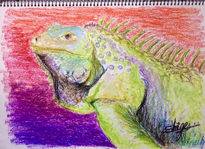 推奨推奨グリーンイグアナの水彩画 絵画 | blog.connectparts.com.br