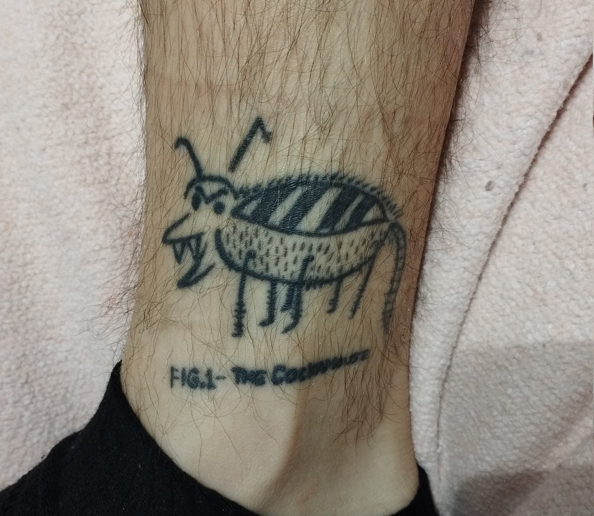 joseanfdezsca4's tweet photo. @galiindo13 El tatuaje // La referencia https://t.co/8f0kP4bEAR
