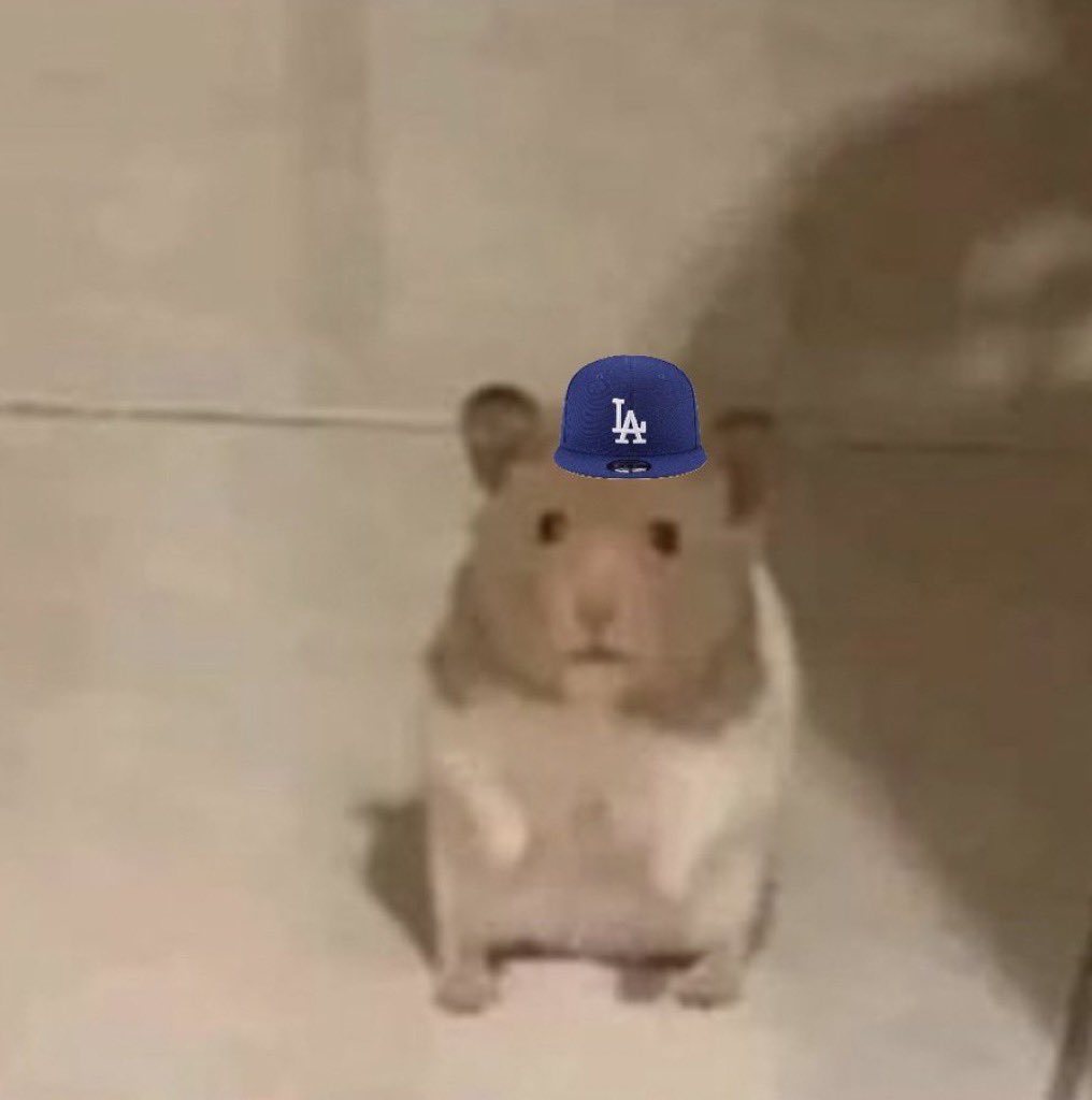 dodgerbodger's tweet photo. *me watching the dodgers go down 11-3 in the fifth to the dbacks https://t.co/eRJpXi4sfy