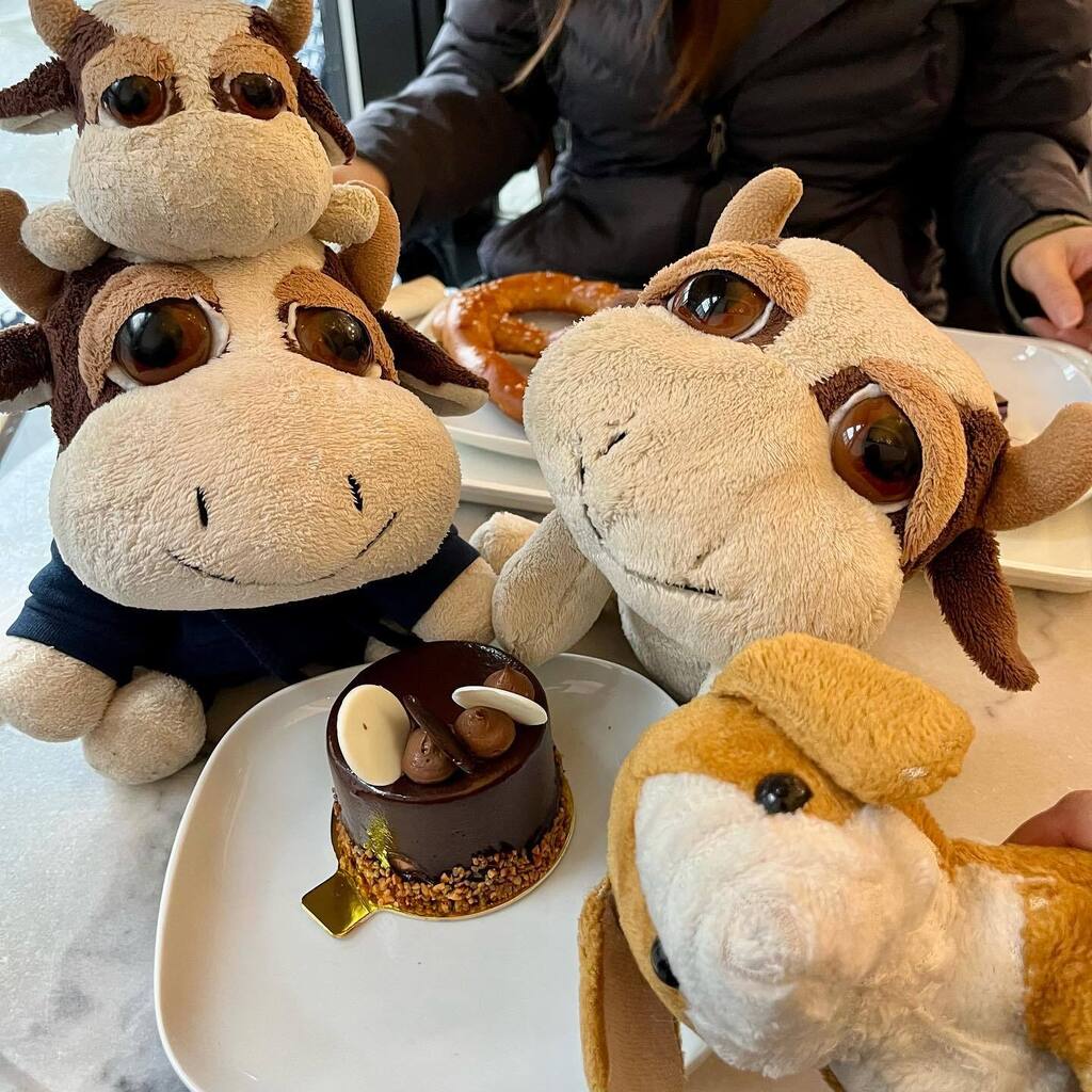 Marlow Moo 🐮 (@marlowmoo) on Twitter photo Celebrated my 16th birthday with <a href="/tobybunbeagle/">Toby Beagle</a> , @babymarlinmoo and @marwinmoo at @faubourgbakery ! #moo #marlowmoo #stuffedanimals #stuffiesofinstagram #stuffies #stuffiesofinstagram #cowsofinstagram #vancouverfoodie #vancouver instagr.am/p/Cq1KAHHPktL/ Celebrated my 16th birthday with <a href="/tobybunbeagle/">Toby Beagle</a> , @babymarlinmoo and @marwinmoo at @faubourgbakery ! #moo #marlowmoo #stuffedanimals #stuffiesofinstagram #stuffies #stuffiesofinstagram #cowsofinstagram #vancouverfoodie #vancouver instagr.am/p/Cq1KAHHPktL/