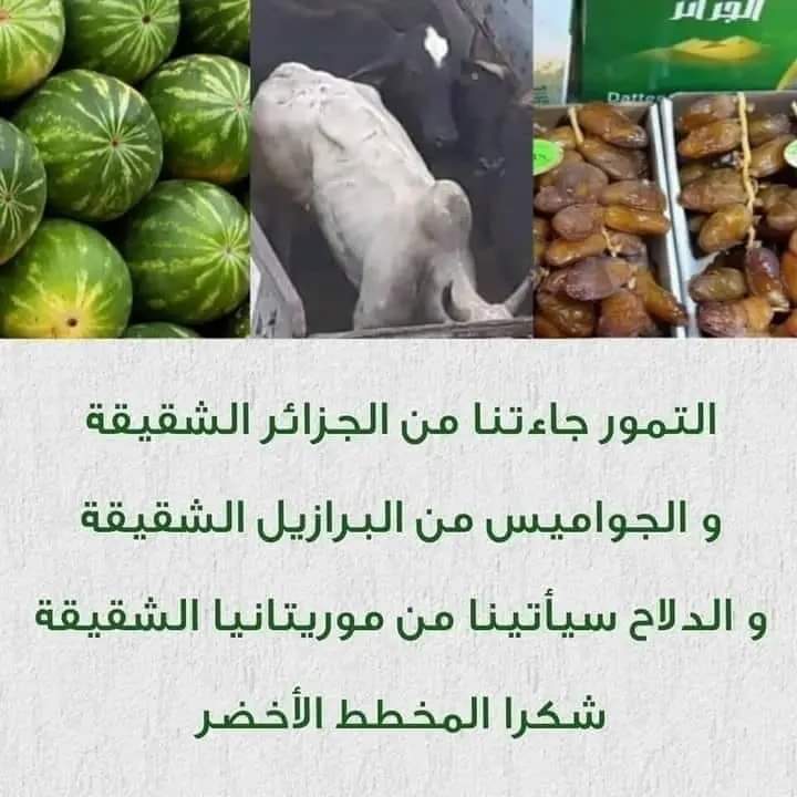 AbderrahimWalaf's tweet photo. https://t.co/ByTqZTL8yZ