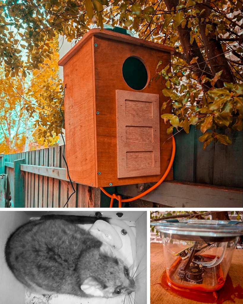 CoreElecAU's tweet image. Peter installed a #possum house in his yard to give the local #wildlife somewhere to keep warm at night. Curious to see if his marsupial mansion was getting any visitors he installed a motion activated #NightVisionCamera and #RaspberryPi. Read more here: coreelec.io/ox