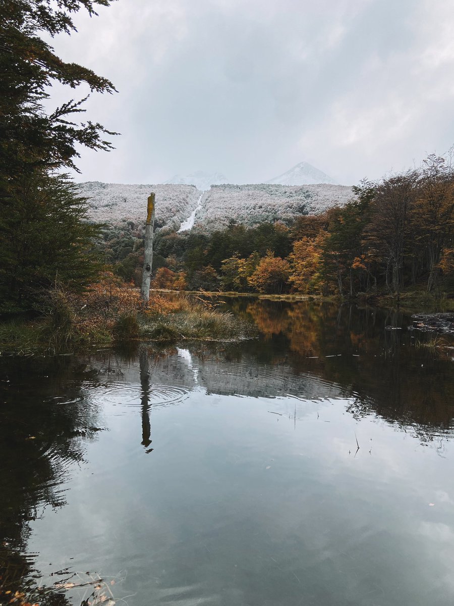 giuferrarib's tweet photo. otoño y nieve es un mil en colores ❤️‍🔥 https://t.co/baNsmJJBgo