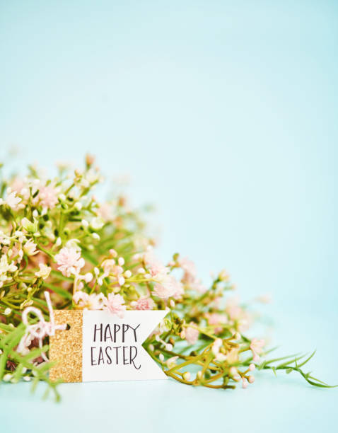 TheTreeDoctor4's tweet photo. The Tree Doctor wishes you and all our customers a fantastic and joyful Easter Sunday alongside their family and friends! https://t.co/ESgeD6pK8g