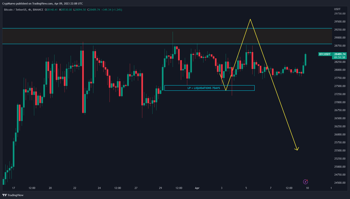 CrypNuevo 🔨 tweet media