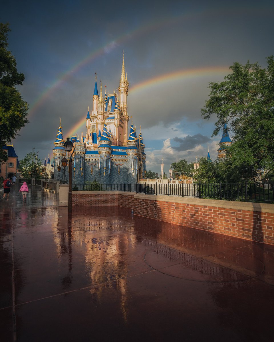 Captured the holy grail of Disney photography this weekend. Can’t get any luckier than this