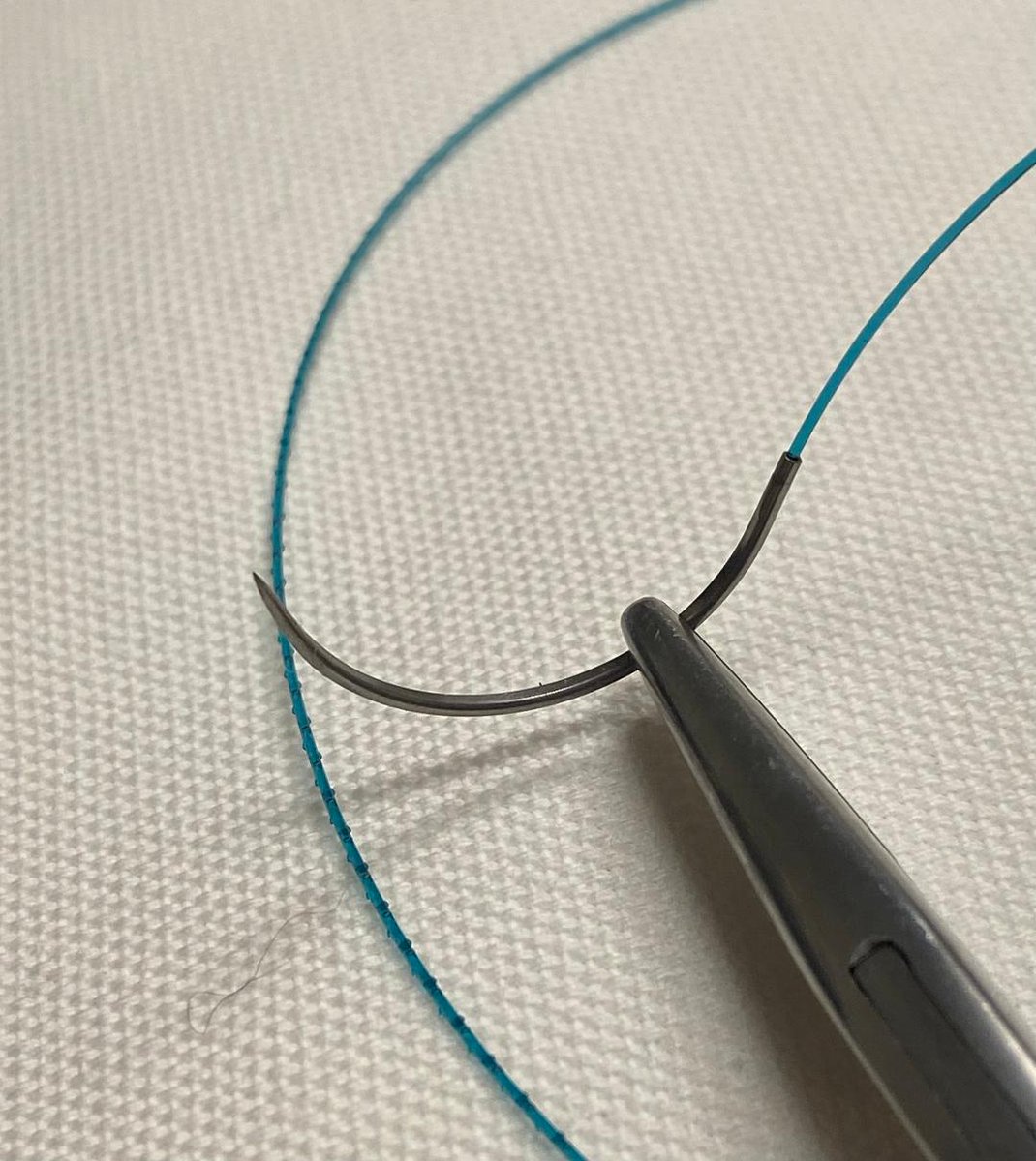 🧵of 🧵: we've already covered most commonly used sutures. Today, we cover barbed sutures. The use of barbs wasn't even invented by humans - they are present in many plant and animal species. But now, barbed sutures are becoming more and more common, as we'll see: (1/ )
