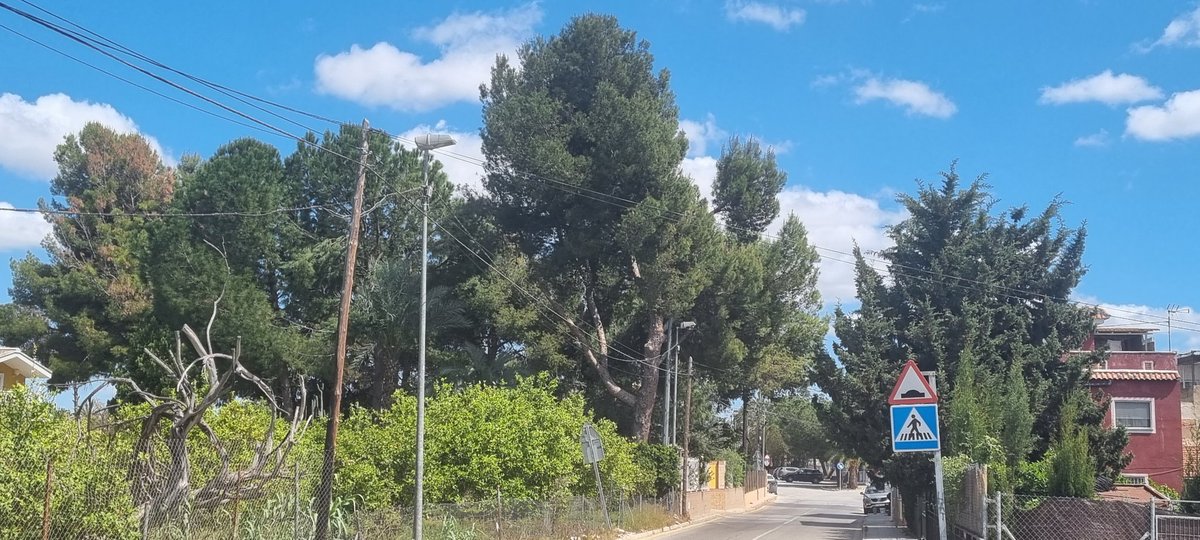 Acequia y huerta en #Churra, en tres actos. (1) Tenemos un vergel dentro de la ciudad. @enunlugardelah1 @jjizquierdo2012 @asociacionanse @huermur