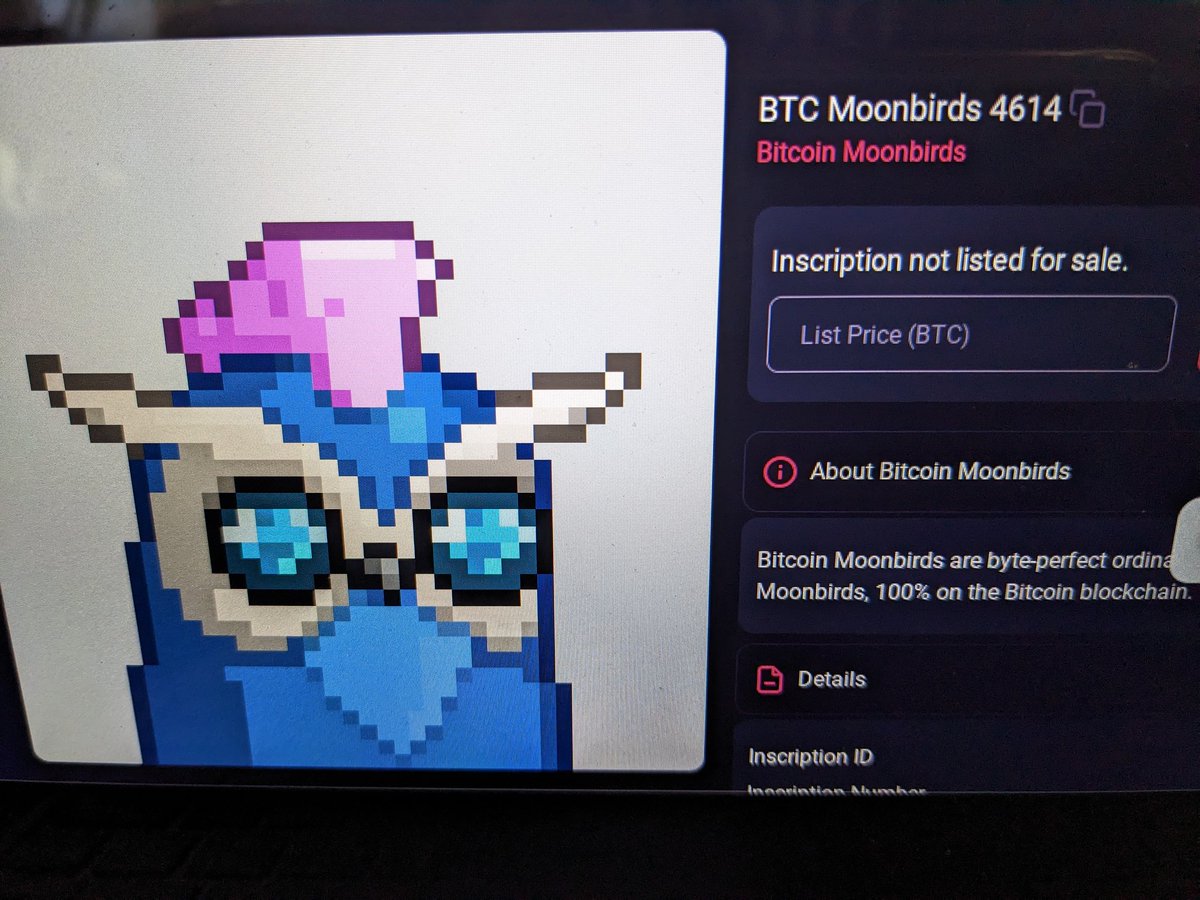 ciscoone70's tweet photo. @btcmoonbirds_     Both  #4614.. HODL.. MODE!! 🙌💎SO BOTH COLLECTIONS HAVE SAME NUMBERS.. https://t.co/y0qYFZT6rI