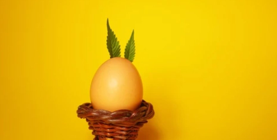 Happy Easter..
Wishing you and your family peace,love and happiness on this Easter and Always...
