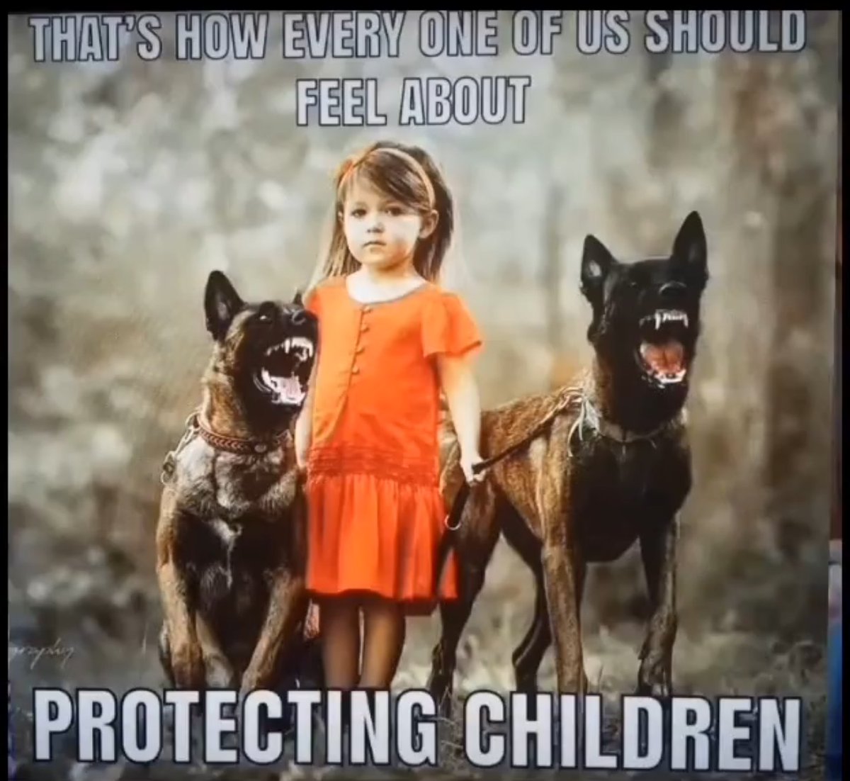 How do you protect your offspring?