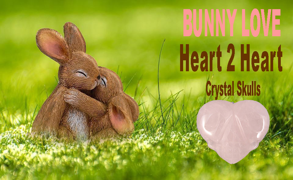 csguardian's tweet image. BUNNY LOVE - The sweetest, most bonded, caring and devoted love known to exist - crystalized forever with Heart2Heart Crystal Skulls #easter2023 #crystals #love crystalskulls.com/amar-energized…