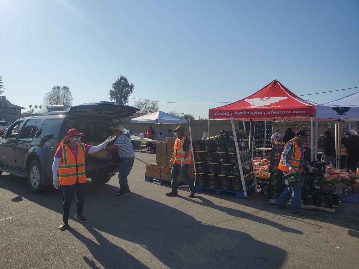 UFWupdates's tweet photo. Today on #Easter Sunday more than 500 farm worker families attended the UFW's farm worker led "De Campesinxs a Campesinxs" food distribution in Lamont CA. #WeFeedYou https://t.co/wnWBKaQJR1