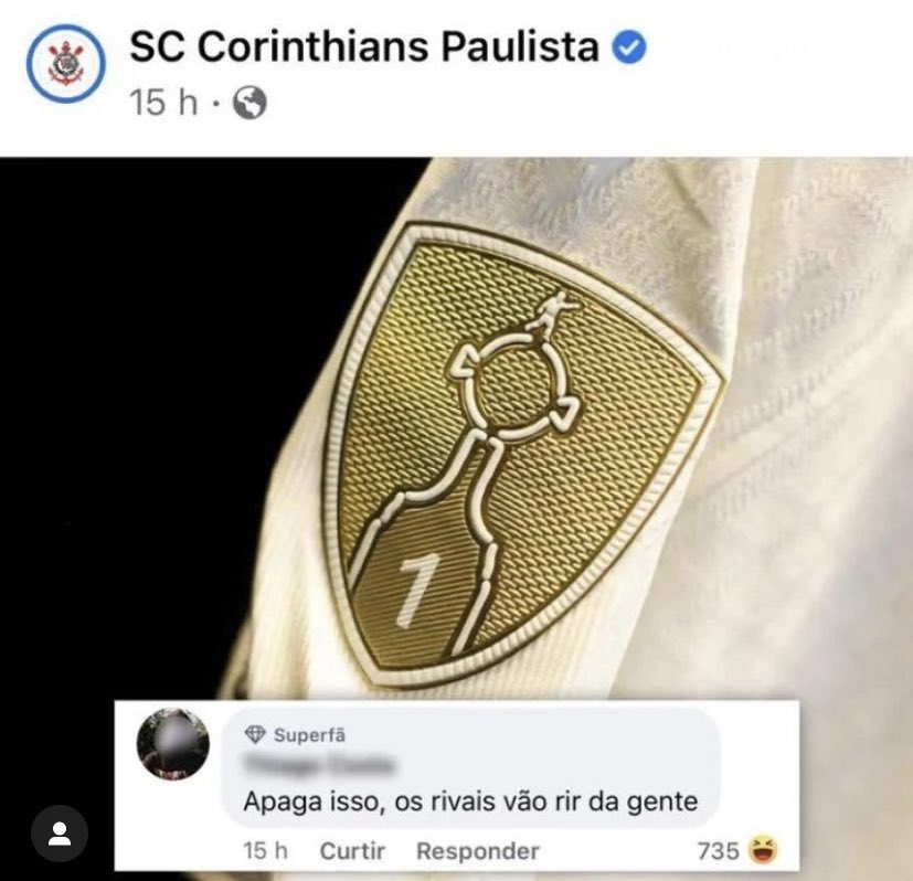 ؘ (@ilupalmeiras) on Twitter photo 