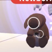 DylanAintCringe's tweet photo. Kangaroo giveaway 🦘
Rules;
Follow me, @yuichuu_ &amp; @yui3ru ⭐️
Like and rt @yuichuu_’s pinned 👍
Like this tweet ❤️
Retweet 🌀
Comment ✅ (optional)
That’s All!!
Goodluck everyone 🎉 https://t.co/GvRBnbbp4Z