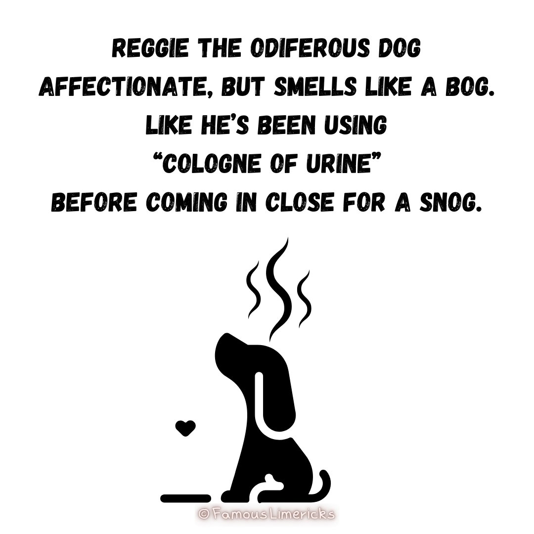 famouslimericks's tweet photo. i love my dog. #dogpoem #poetrying #LimerickSunday #funpoem https://t.co/PKmseRxCQ0