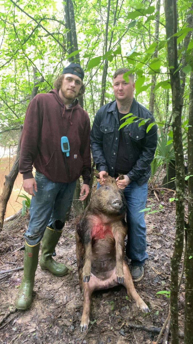 clintonmcgee4's tweet photo. Been catching some good Barr hogs lately https://t.co/1DkymAKfzC