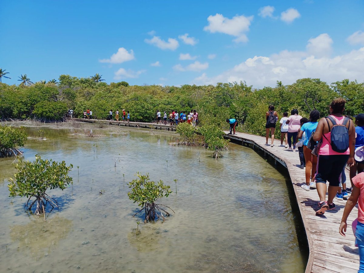 Les élèves de l'#école ouverte Daniel PIDERY du #REP+ #Dillon 2 découvrent le littoral de Sainte-Anne en #randonnée pédestre à l'anse et l'étang des #Salines <a href="/acmartinique/">Académie de Martinique</a> <a href="/EPrioritaire972/">Edu_Prioritaire972</a> <a href="/CircoFdF1/">Circo FORTdeFRANCE 1</a> <a href="/fdfville/">Fort-de-France Ville</a>