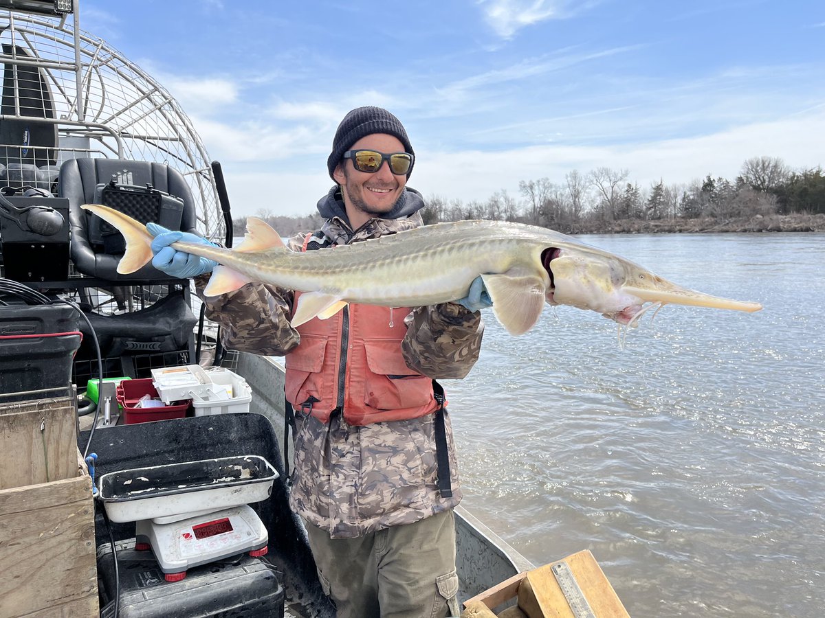 Chris Pullano tweet media