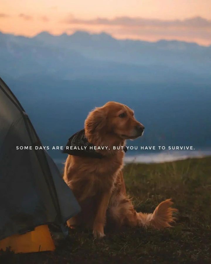 Nice Nath (@nicenath4) on Twitter photo 