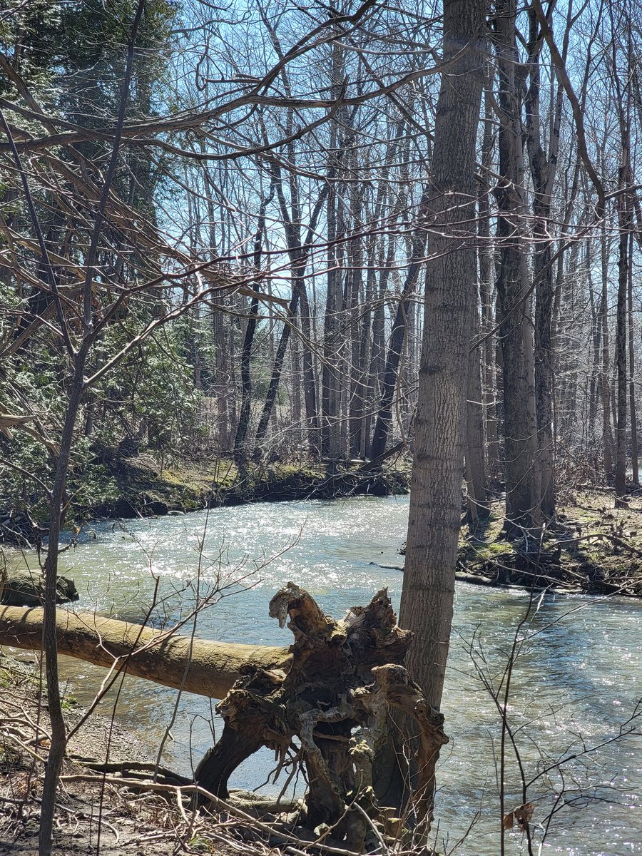 Beautiful Easter Sunday walk through the Coldstream Conservation area. @SCRCA_water.