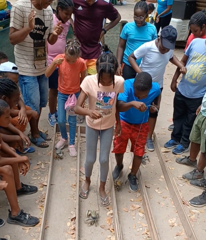 Les élèves de l'#école ouverte Daniel PIDERY du #REP+ #Dillon 2 effectuent des activités pédagogiques et culturelles : écoute d'un #conte #créole, fabrication de ratières, course de crabes <a href="/acmartinique/">Académie de Martinique</a> <a href="/EPrioritaire972/">Edu_Prioritaire972</a> <a href="/CircoFdF1/">Circo FORTdeFRANCE 1</a> <a href="/fdfville/">Fort-de-France Ville</a>