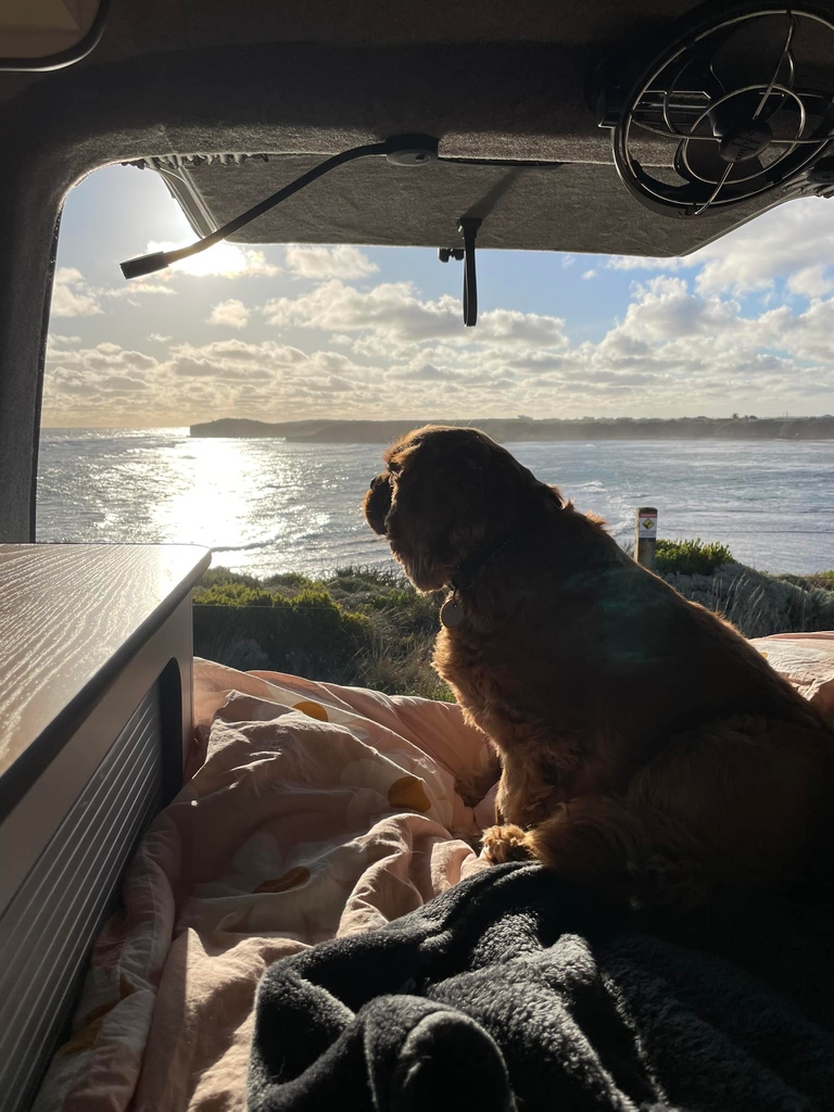 How good is it when your four legged friend can come along? 🐶😍

#dogvanlife #homeiswhereyouparkit #vanlifediaries #vancrush #vanlife #projectvanlife #vanlifeproject #vanconversion #roadtrip #camping #campervans #vanlifecommunity #vanlifedreams #vanlifestyle #travel