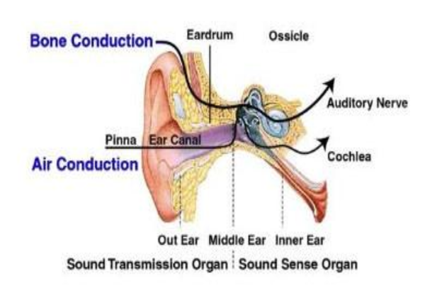 SwimmanAUS's tweet photo. What is Bone Conduction Technology and what are the advantages?  👉🏽👉🏽 https://t.co/Pks1C9uoQL #SwimBlog #SwimProducts #swimming #swimmer
#swimlessons #swimlife https://t.co/FrbbFaXcab