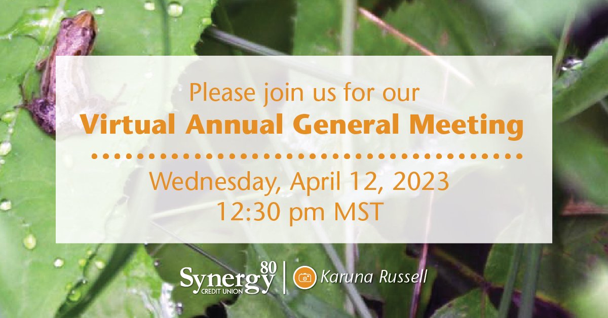 Synergycu's tweet photo. Just days before our Annual General Meeting! Join us virtually on Wednesday, April 12, 2023 at 12:30 pm MST.
Learn more: https://t.co/X4C2Ypzidh
#AGM #CuDifference #SkTopEmployer #creditunion #CuDifference #SwitchToSynergy #CanadasCreditUnion https://t.co/5884KjNQ3R