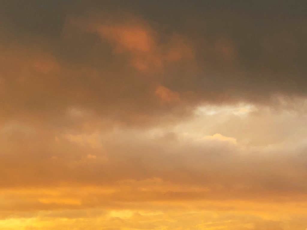 selamat hari senin lagi☀️ #lesyeuxdeoshi