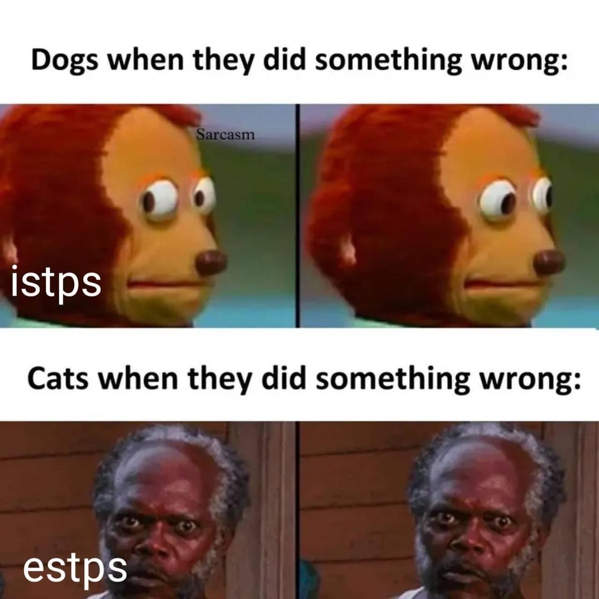 Personality Lounge tweet media