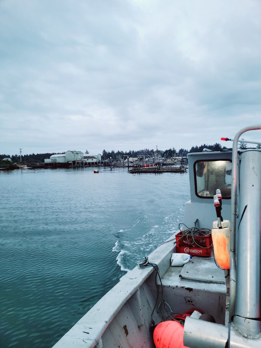 New town every hour on Twitter "Ocean Park, Washington Population