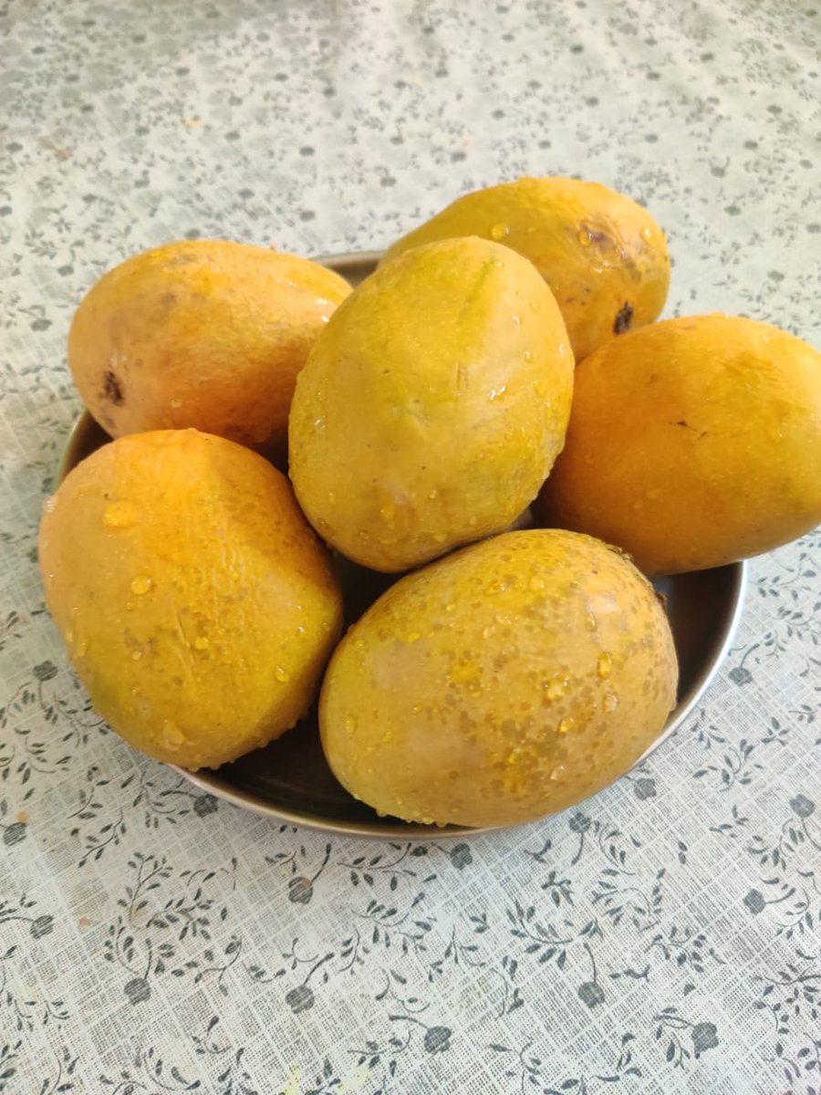 Dr_of_Lifestyle's tweet photo. "To eat or not to eat is the question"...!
Kya kehti public??
😜
#Mango
#lets_talk https://t.co/8SGJAAKDm6