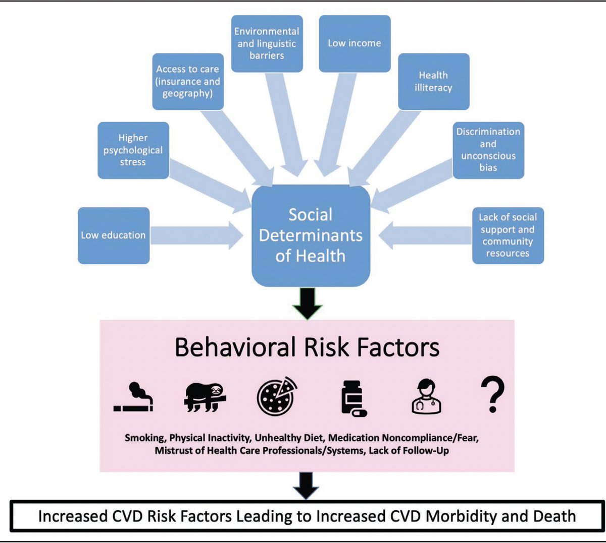 Cardiovascular risk factors in women and the impact of race and ethnicity contribution. Nonbiological variables need to be incorporated into the cardiovascular risk assessment of women.
@American_Heart @GoRedForWomen #MinorityHealthMonth
bit.ly/3ZU4cTY