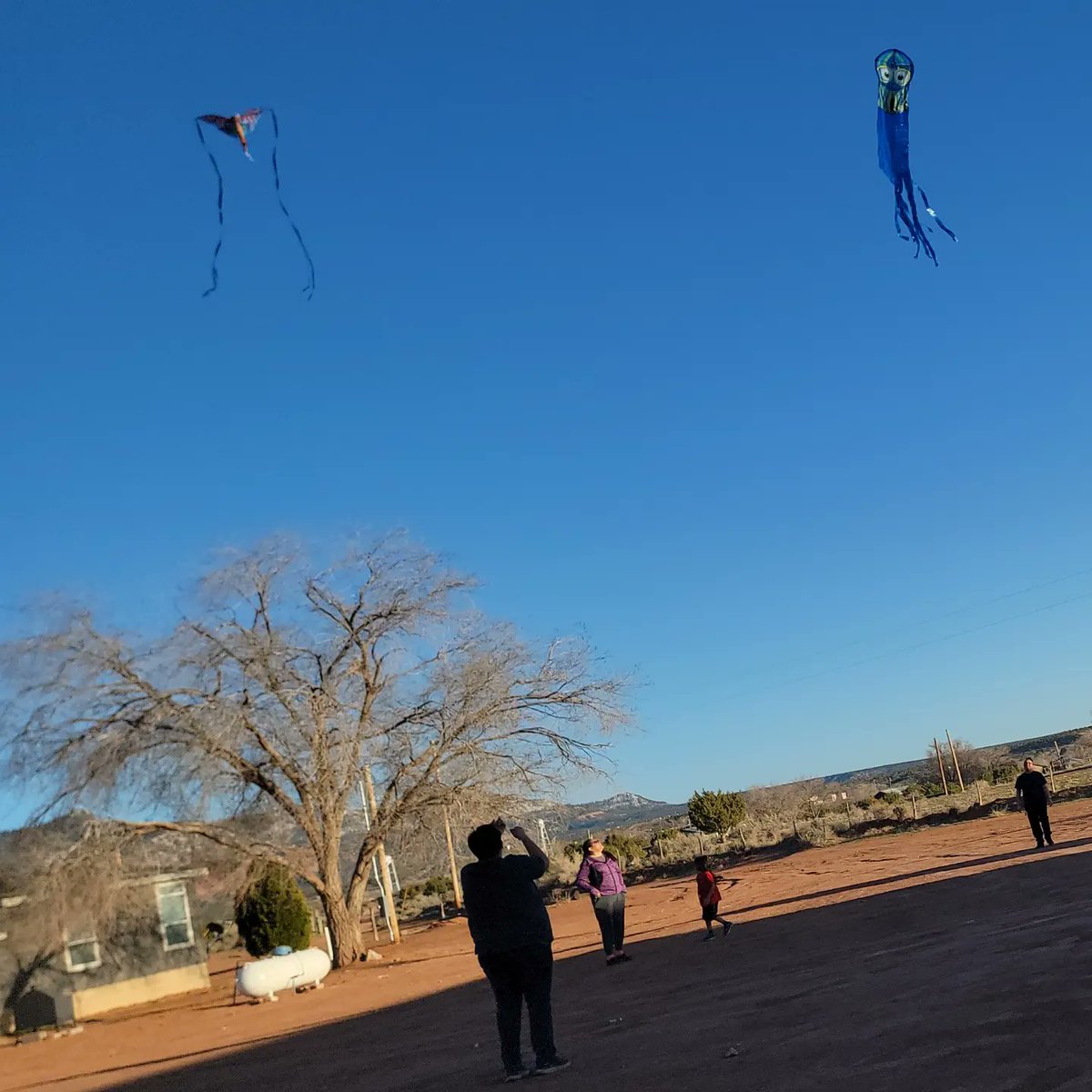 daybreakwarrior's tweet photo. Sometimes you just want to #FlyAKite! #HappyEaster, everyone!
#FlyAway #Kite #Easter2023 https://t.co/cEXhirtZwX