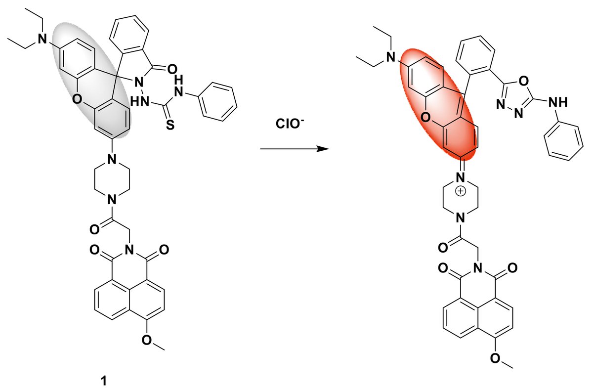 Sensors_MDPI's tweet image. #highlycitedpaper
Research Progress of Small Molecule Fluorescent Probes for Detecting Hypochlorite
mdpi.com/1424-8220/21/1…
#FluorescentProbe #Hypochlorite #Bioimaging
