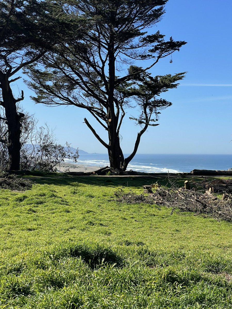 xelfink's tweet photo. View from Sutro Heights park today https://t.co/hNF16pNim7