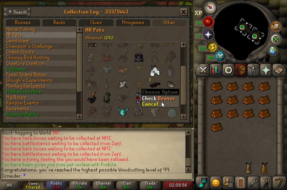 3rd Beaver at the same time as 99 wc