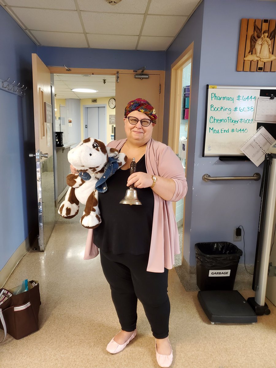 Chemoo the Chemootherapy Cow tweet media