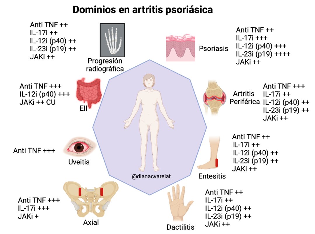 Dianacvarelat's tweet photo. 🛑Los 8️⃣ dominios en Artritis psoriásica 🤚🏼 con sus tratamientos 💊💉
#MedTwitter @Asoreuma https://t.co/eaoMCPYUtC