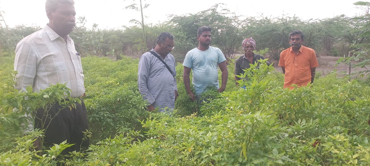 Jeypeefarm's tweet image. Virudhunagar Agri Horti Association gifted bee box to samba S4 chilli farmers who religiously avoided hazardous pesticide for Global GAP. Farmers stood by their word &amp;amp; it's our responsibility to recognise them #GoodPick  @VNRCollector @jeyaseelan_vp @Spices_Board @agridept_tn